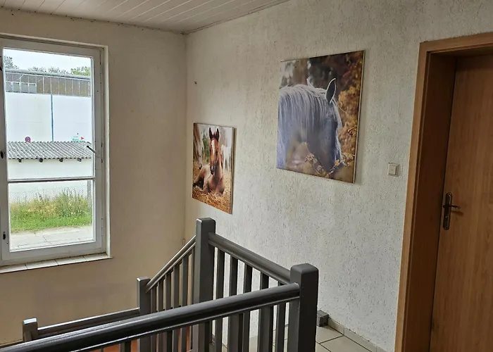 بيت ضيافة Am Hegensteinbach